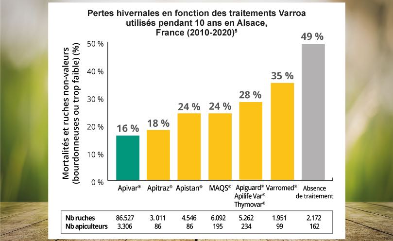 Apivar médicament contre varroa : efficacité et survie hivernale